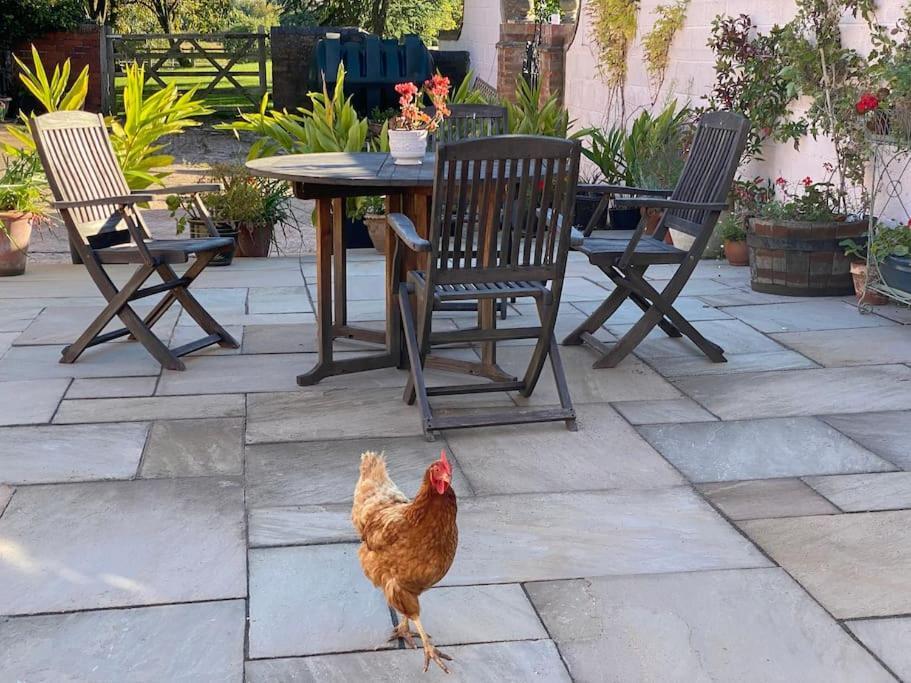 Cottage Barn Conversion On Working Farm Worcester Luaran gambar