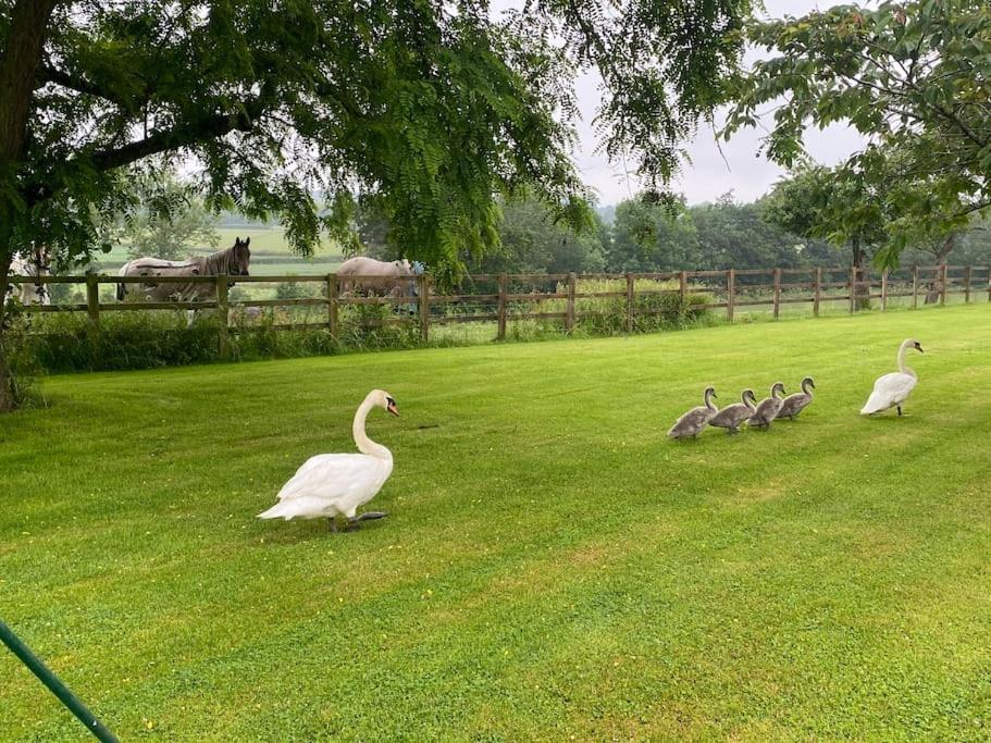Cottage Barn Conversion On Working Farm Worcester Luaran gambar